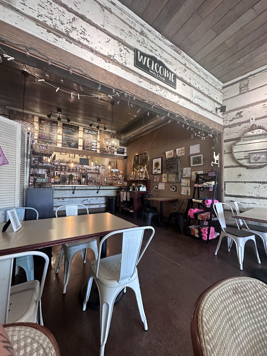 The Sunflower Photos 2